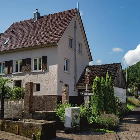 Haus-Ambrunnen Villa Nothweiler Exterior photo